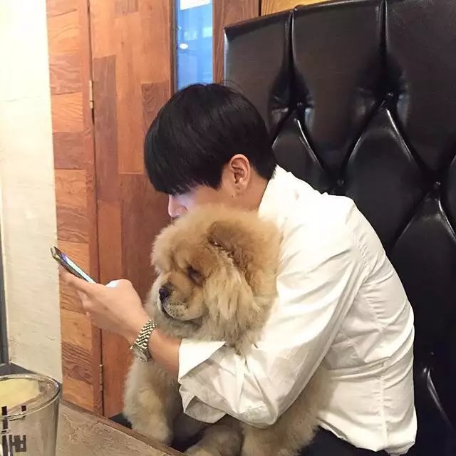 公孙朗桂洋