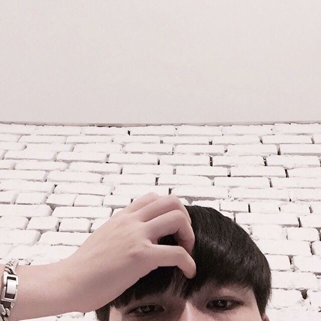 卓善博力