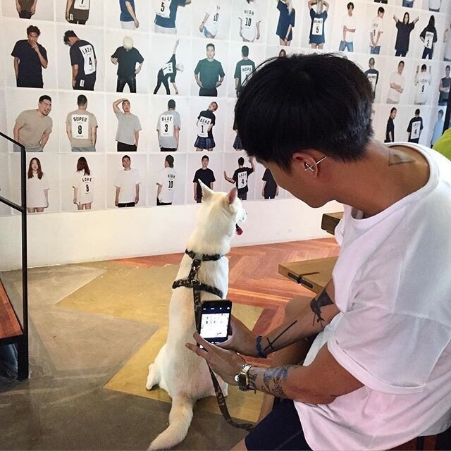 狄莎雁蓉