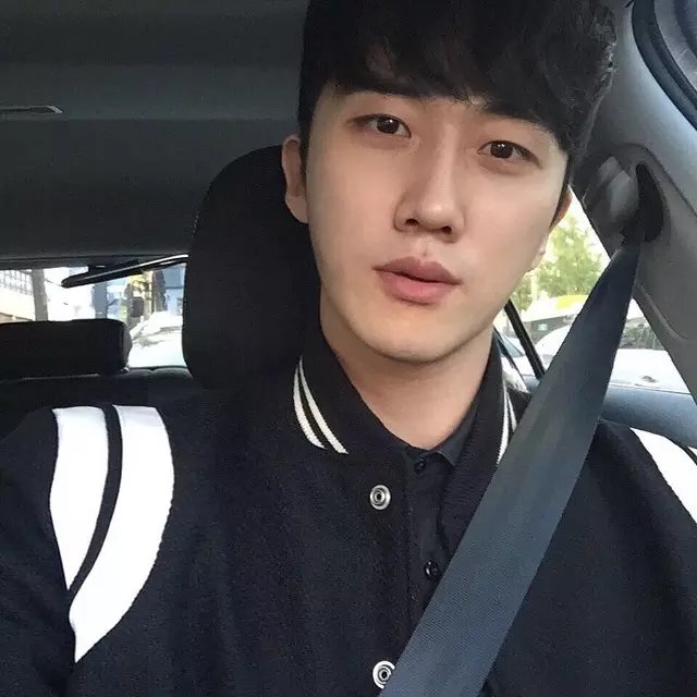 莘菊翠晴