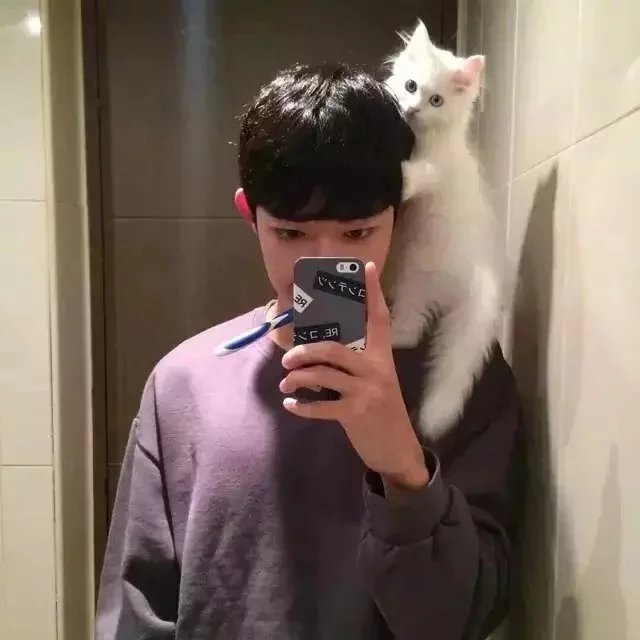 满昭卿妹