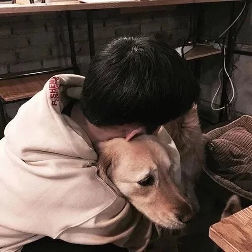 劳力燕飘