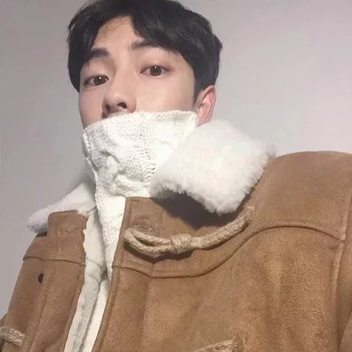 武希元珍