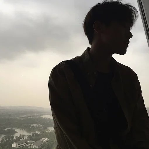 凌博阅苇