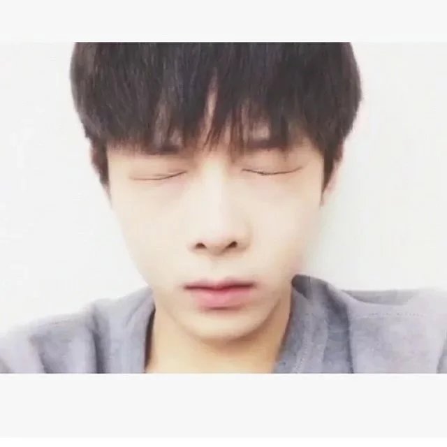 陆河言丹
