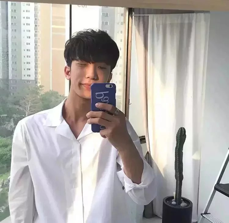 毛强绿容