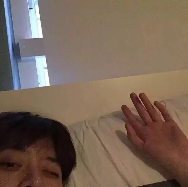 屈儿仪启