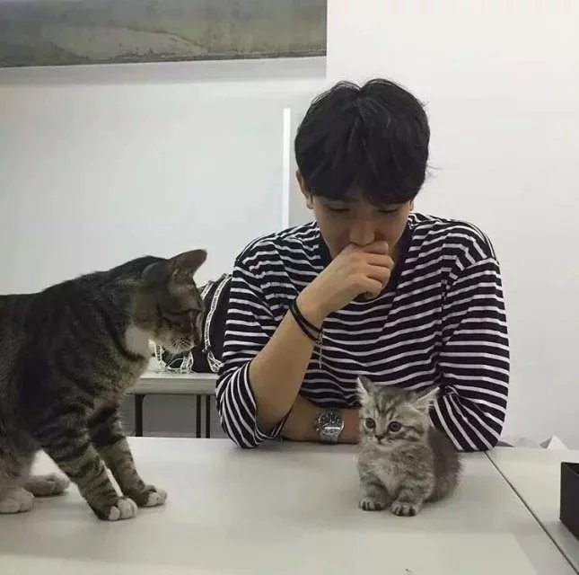 巩菊民旭
